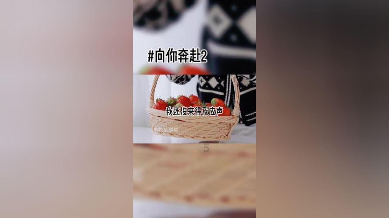 洪潮之焰