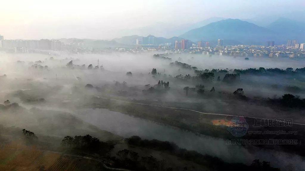 忍者鲨鱼