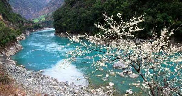 郭晶晶亮相马拉松，身价百亿素颜出镜，42岁状态好，丈夫手牵手
