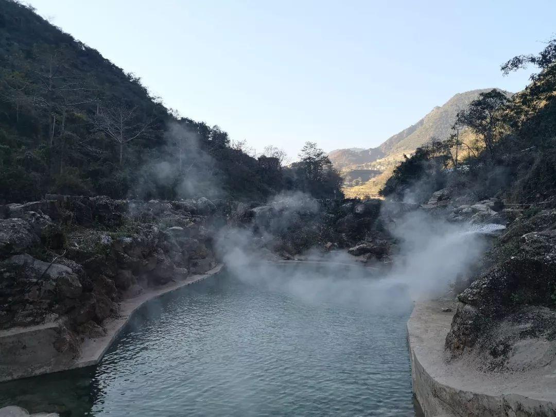 找答案就上墨鱼爆蛋油锅做法?,解答你的疑问!